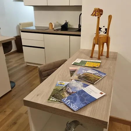 Apartment La Casa Degli Sbilfs - Wi-fi, Netflix E Garage Box , A 2 Minuti Dallo Zoncolan