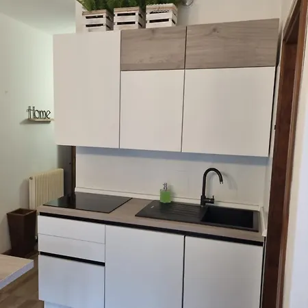 La Casa Degli Sbilfs - Wi-fi, Netflix E Garage Box , A 2 Minuti Dallo Zoncolan Apartment
