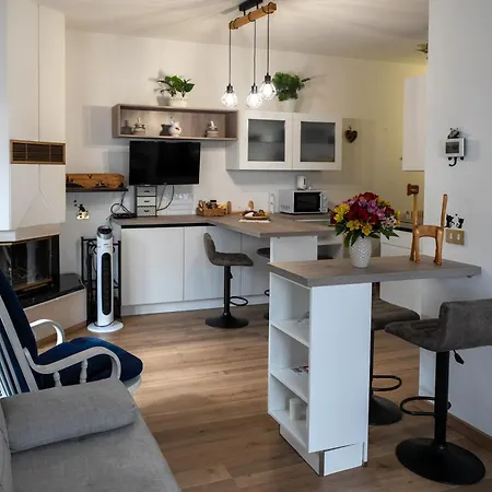 La Casa Degli Sbilfs - Wi-fi, Netflix E Garage Box , A 2 Minuti Dal Monte Zoncolan * Ravascletto