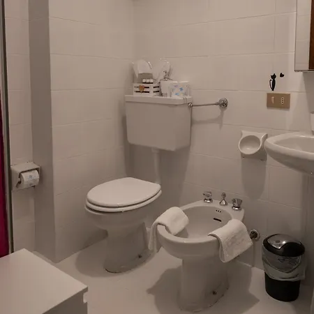 Daire La Casa Degli Sbilfs - Wi-fi, Netflix E Garage Box , A 2 Minuti Dal Monte Zoncolan