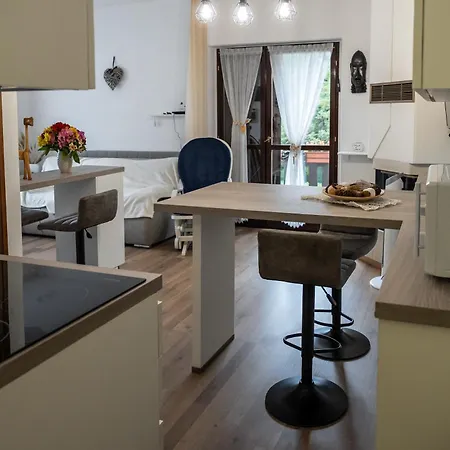 La Casa Degli Sbilfs - Wi-fi, Netflix E Garage Box , A 2 Minuti Dal Monte Zoncolan Apartmán Ravascletto